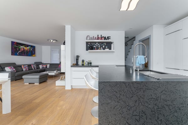 Villa contemporaine / 1.5 pces / Sion / réf. 1021.589 / EXCLUSIVITE 4