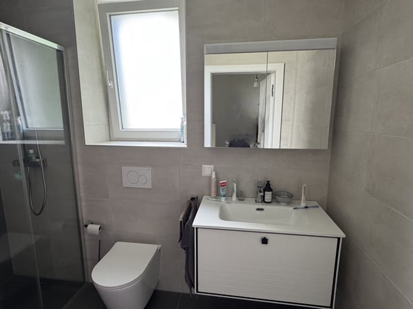 Villa - 5.5 pces - Disponible de suite -Pravidondaz (Salins - Sion) 10