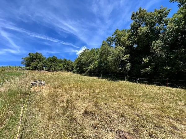 Terrain - 1'399 m2 - Signèse (Ayent) - réf. 10265559 - EXCLUSIVITE 3