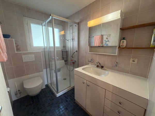 Maison – 5.5 pces – extérieurs – possibilité activité indépendante 12