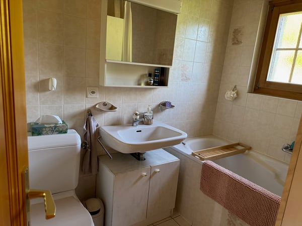 Chalet - 4 pces - La Garde (Sembrancher) - EXCLUSIVITE 12