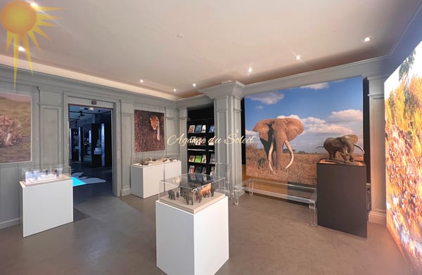 Grand espace commercial de 220 m² en plein coeur de la station ! 2