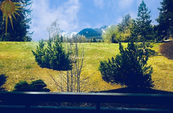 Très joli appartement de 1.5 pièces à proximité du centre de Crans ! 13