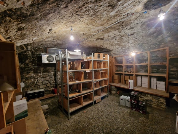 NUCLEO ASCONA - Elegante ristorante 7