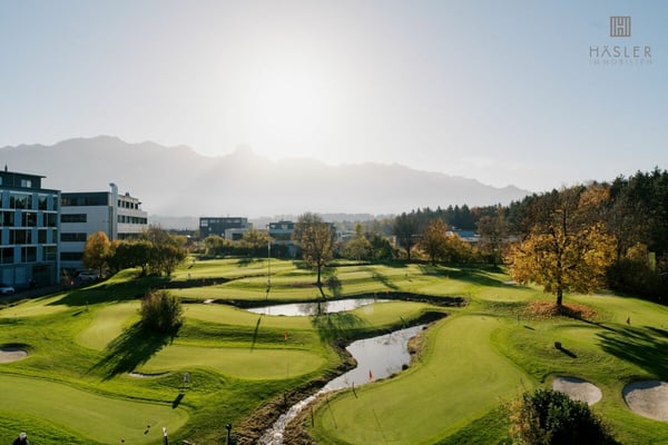 Aperçu de l'image de l'immobilier