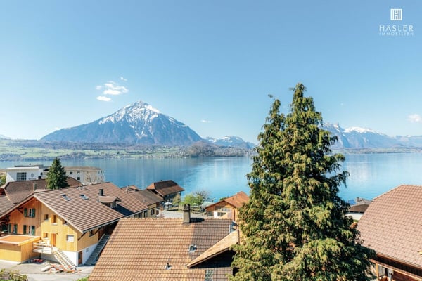 Grosszügige 4½-Zi-Dachwohnung mit See- und Bergsicht 1
