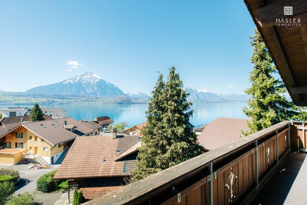 Grosszügige 4½-Zi-Dachwohnung mit See- und Bergsicht 3