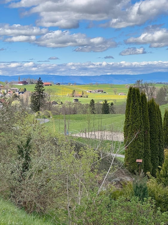 Bonnefontaine