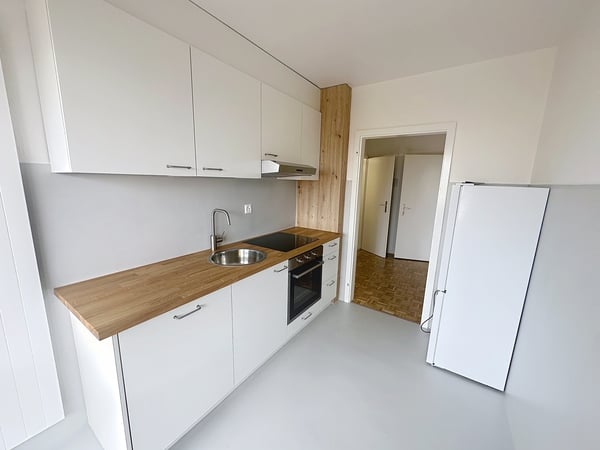 Charmant appartement de 1.5 pces Récemment rénové 4