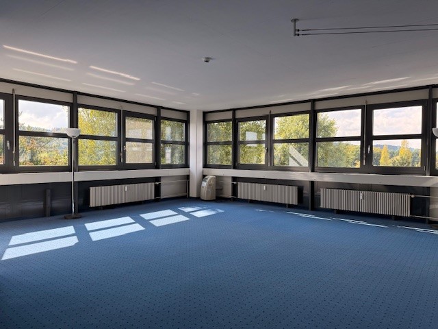 large room, blue carpet, large windows, radiators, floor lamp