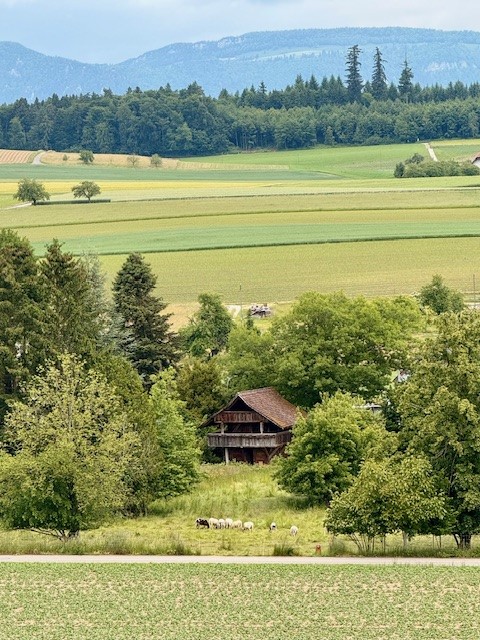Moderne Eigentumswohnung (Attika) in Lüterkofen (SO), nahe Bern und Solothurn 7