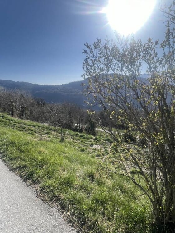 Terrain à La Place (Ayent) 3