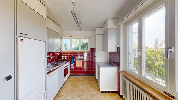 Wohn- und Gewerbehaus im sonnigen Bucheggberg 3