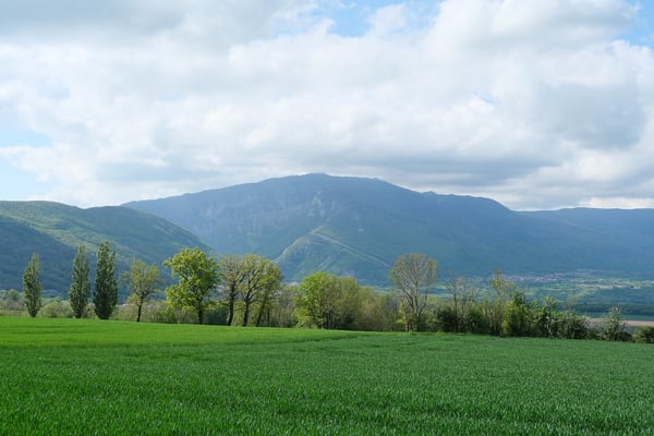 À VENDRE – 3 PARCELLES CONSTRUCTIBLES – 5902 m² – VANZY (74270) 8