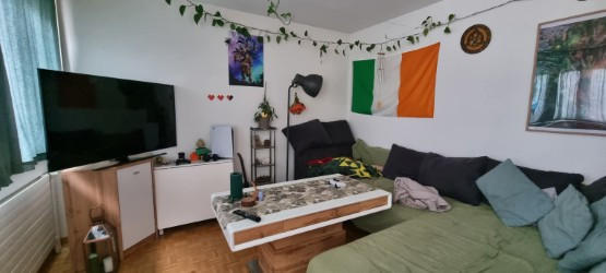 Aperçu de l'image de l'immobilier