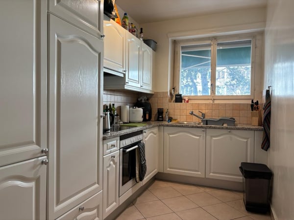 Magnifique très grand 1.5 pièces Florissant quartier prisé de Genève 4