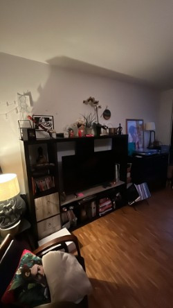 Appartement 1 pièces à Champel 2