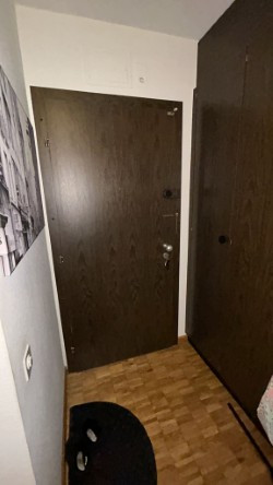 Appartement 1 pièces à Champel 5