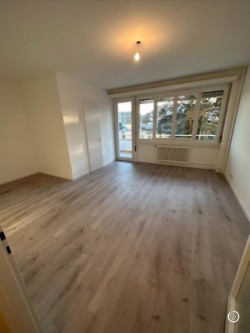 Nous vous proposons un 2.5 pièces à Champel 1