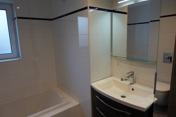 BEL APPARTEMENT D'ANGLE EN ATTIQUE AU CENTRE DU VILLAGE D'EVIONNAZ 10