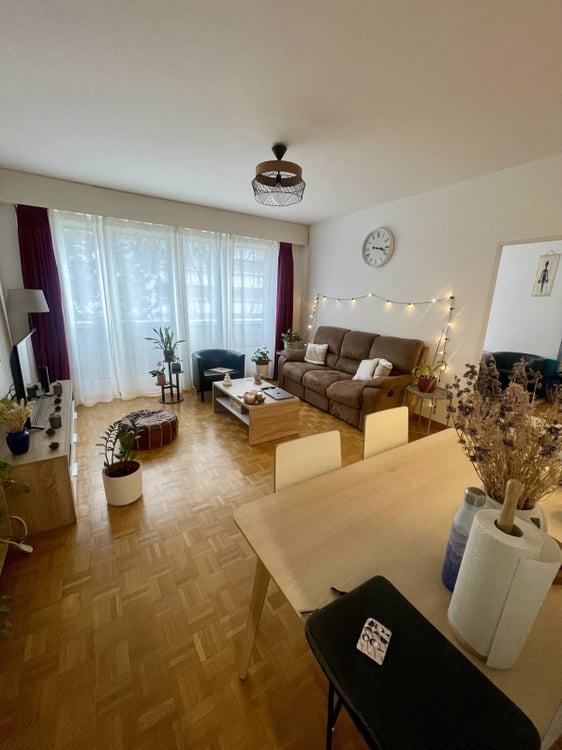 Très beau 1 pièces à Champel 1