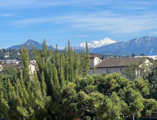 ATTIQUE DE RÊVE AVEC TERRASSES. VUE SUR LE MONT-BLANC JUSQU'AU JURA! A AMBILLY 1
