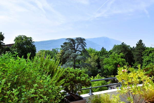 ATTIQUE DE RÊVE AVEC TERRASSES. VUE SUR LE MONT-BLANC JUSQU'AU JURA! A AMBILLY 3