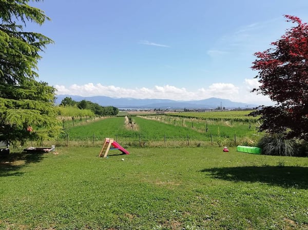 Magnifique villa à louer - Gland 1