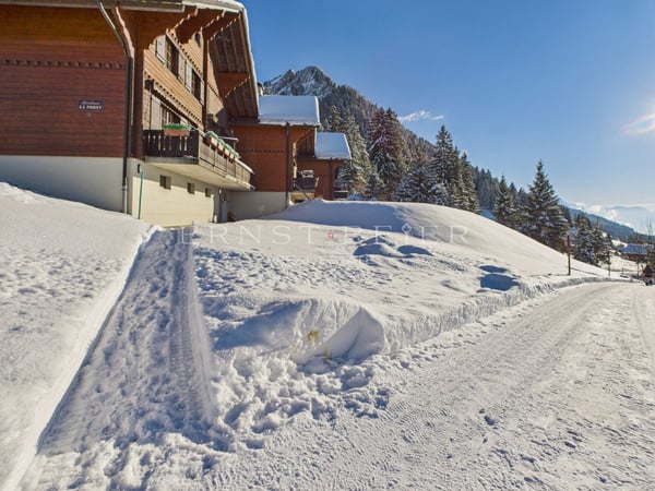 Chalet mitoyen de 1.5 pièces dans un cadre féerique 10