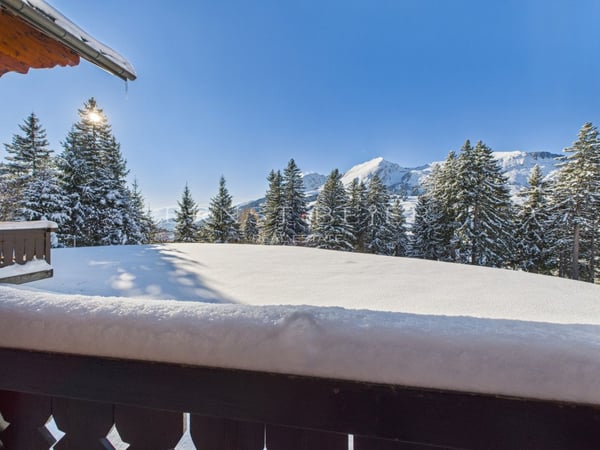 Chalet mitoyen de 1.5 pièces dans un cadre féerique 9