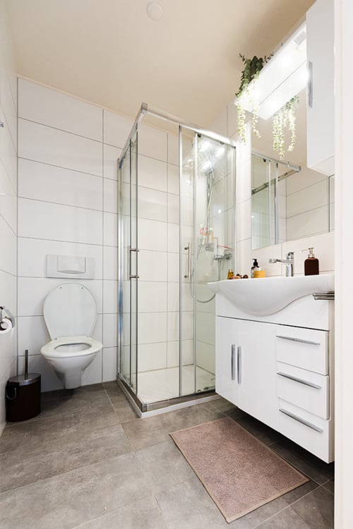 Appartement 1.5 pces de plain-pied 5