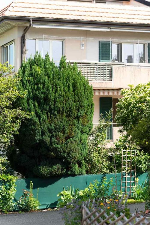 Appartement 1.5 pces de plain-pied 8