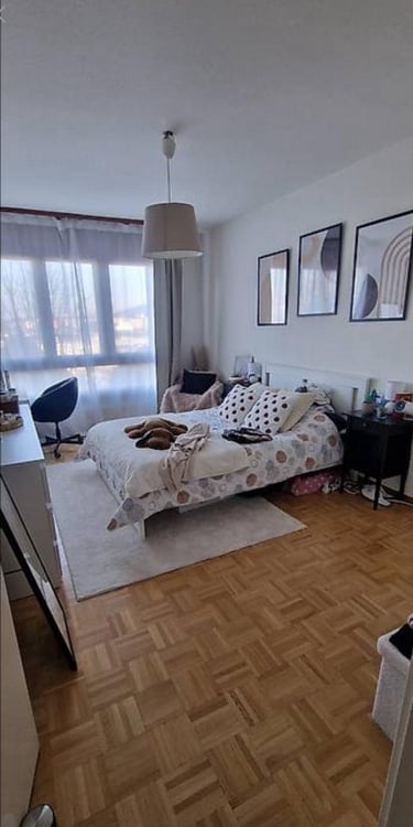 APPARTEMENT 1 PIÈCES À LOUER – GRAND-LANCY (1212) 4