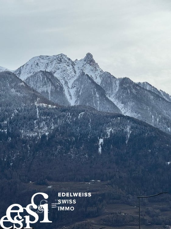 Dernières villas contemporaine de 5.5 pces à Saillon 10