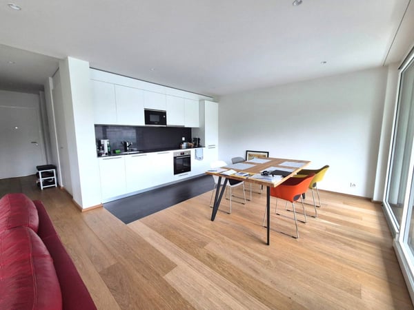 Magnifique 4 pièces neuf avec vaste terrasse zone résidentielle Cologny/Gradelle 2