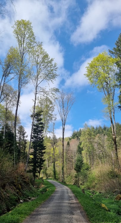 JOLIE MAISON JUMELLE 4.5 PIÈCES UN ART DE VIVRE AU PIED DU JURA - EXCLUSIVITE 6