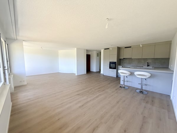 Appartement traversant rénové dans une copropriété bien entretenue 2