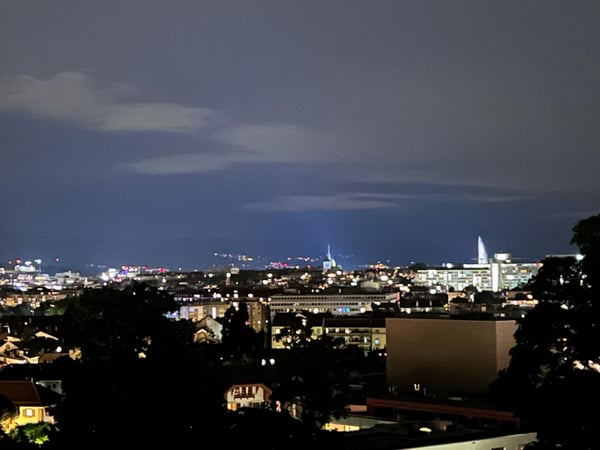 Appartement contemporain avec vue dominante sur Genève, dans un écrin de verdure 3