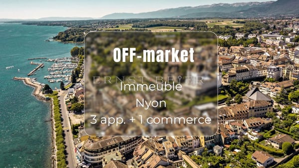 Immeuble de rendement - Nyon 5