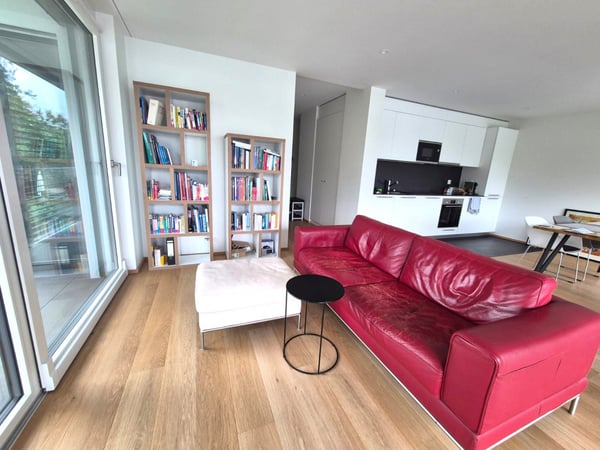 Magnifique 4 pièces neuf avec vaste terrasse zone résidentielle Cologny/Gradelle 3