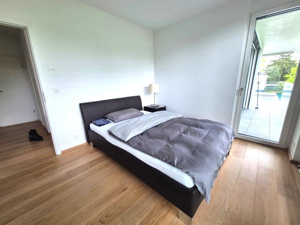 Magnifique 4 pièces neuf avec vaste terrasse zone résidentielle Cologny/Gradelle 4