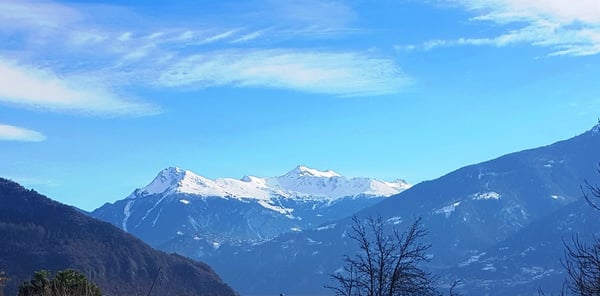Grimisuat