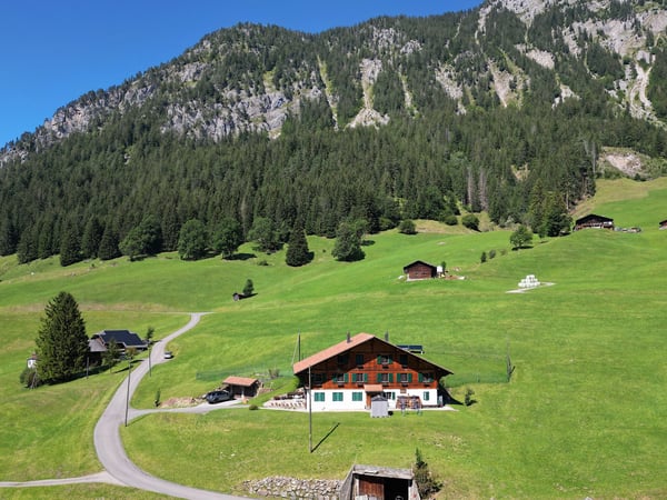 L'ETIVAZ - SUPERBE CHALET DE TROIS APPARTEMENTS 2