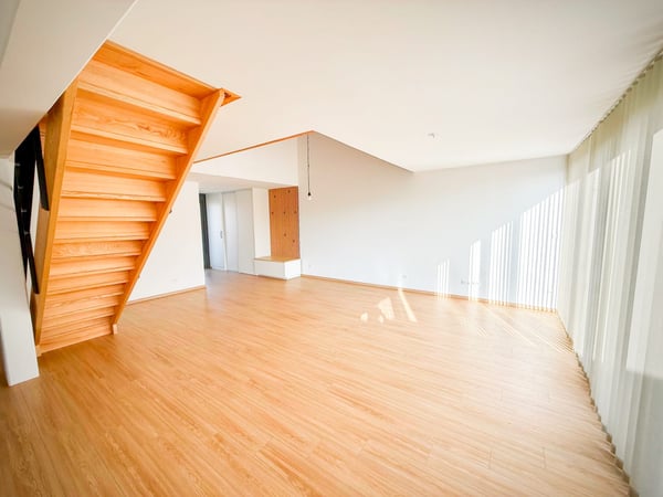 Loft-Penthouse et son Rooftop à 360, à la frontière en France 6