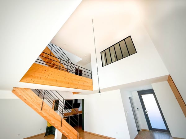 Loft-Penthouse et son Rooftop à 360, à la frontière en France 5