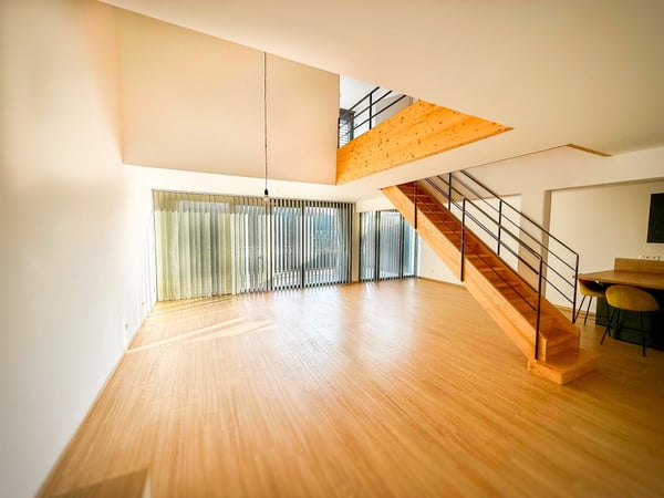 Loft-Penthouse et son Rooftop à 360, à la frontière en France 3