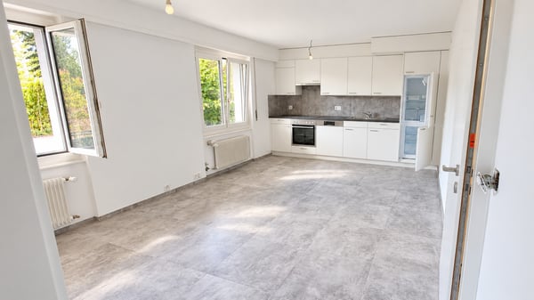 À louer - Joli appartement de 2 pièces entièrement rénové