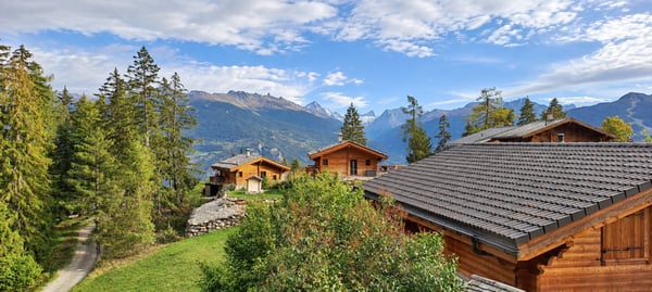 À LOUER : Chalet au Mayen de la Zour - charme, calme et magnifique vue 1