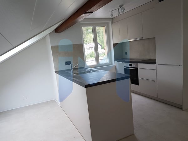 appartement 2.5 pces avec grande terrasse 3