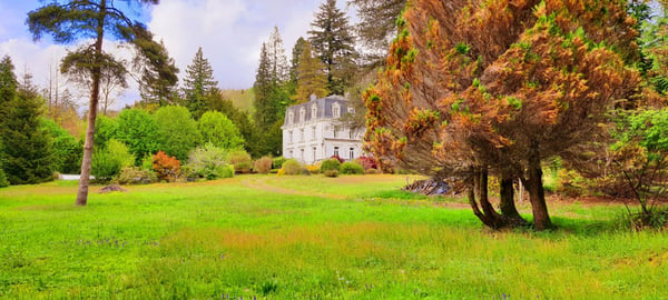 Devenez le gardien d'un joyau : un château dans les Vosges et son parc enchanté 13